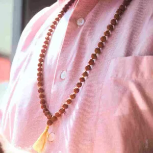 Japam - Brown Rudraksha Mala – 108+1 Beads