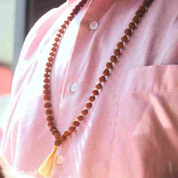 Brown Rudraksha Mala - 108+1 Beads