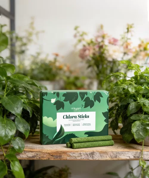 Chlora Fertilizer Sticks for Leafy Plants