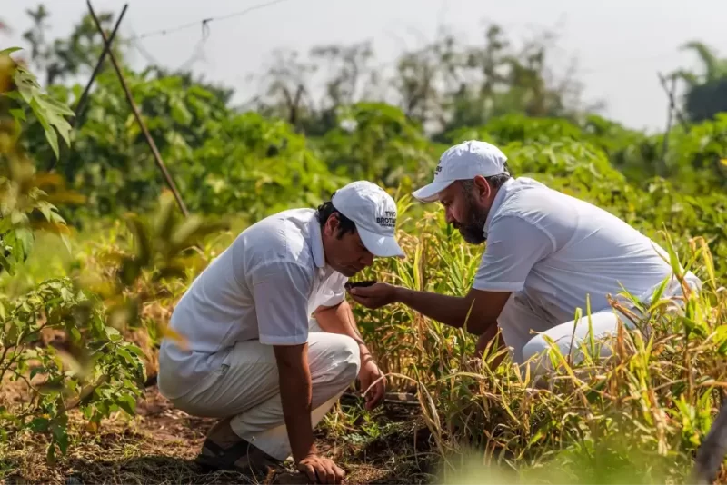 Two Brothers India Farms
